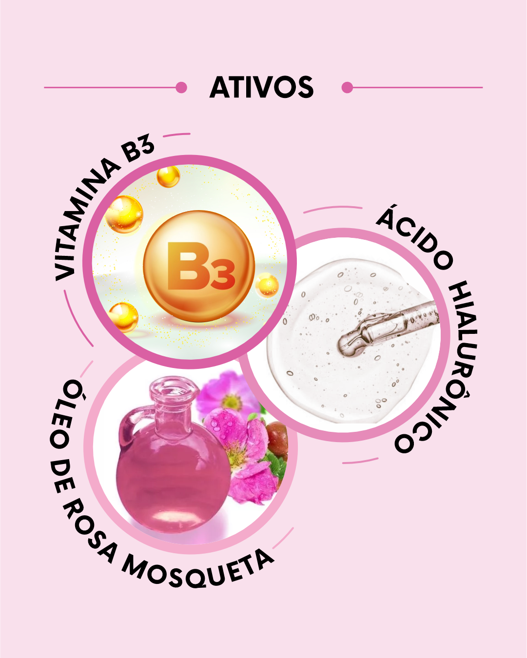 kit Promocional Cavalo Hidra